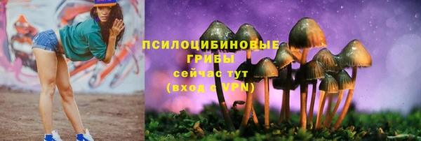 гидропоника Аркадак