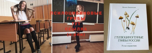 круглые Арсеньев