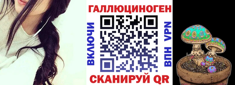 Купить  Тутаев  Псилоцибиновые грибы GOLDEN TEACHER 